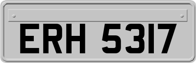 ERH5317