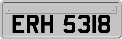 ERH5318
