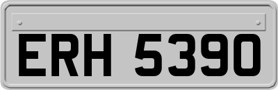 ERH5390