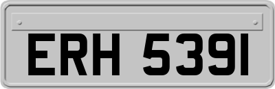 ERH5391