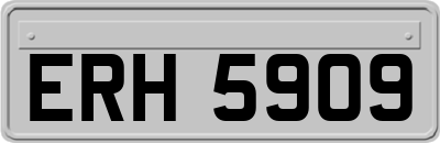 ERH5909
