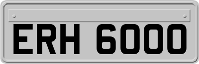 ERH6000
