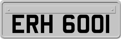 ERH6001