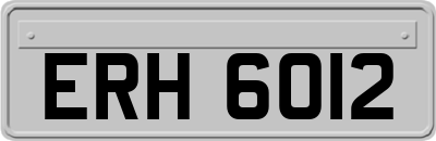 ERH6012