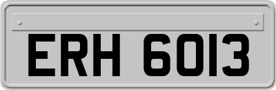ERH6013