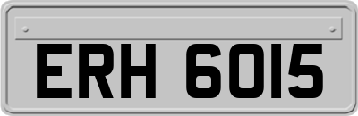 ERH6015