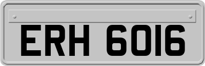 ERH6016
