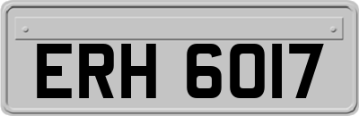ERH6017