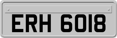 ERH6018