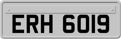 ERH6019