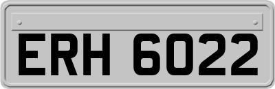ERH6022