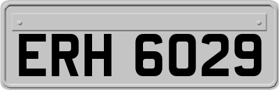 ERH6029