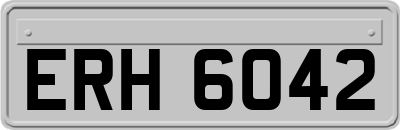 ERH6042