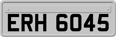 ERH6045