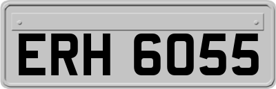 ERH6055
