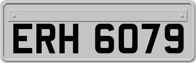 ERH6079