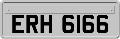 ERH6166