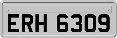ERH6309