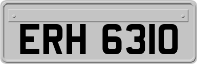 ERH6310