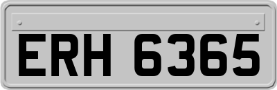 ERH6365