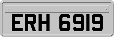 ERH6919