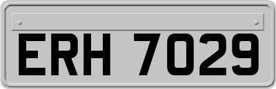 ERH7029