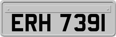 ERH7391