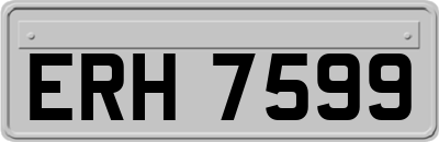 ERH7599