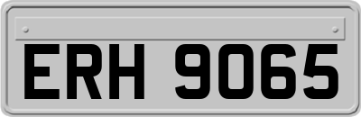 ERH9065