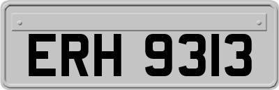 ERH9313