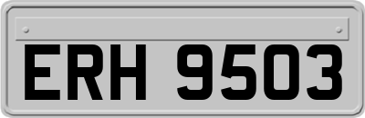 ERH9503