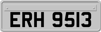 ERH9513