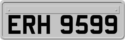ERH9599