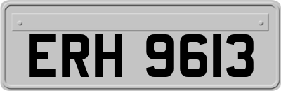 ERH9613