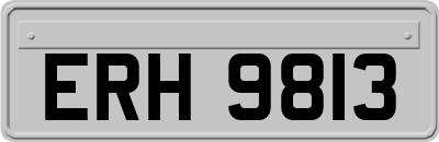 ERH9813