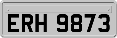 ERH9873