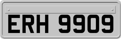 ERH9909