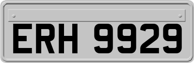 ERH9929