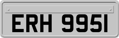 ERH9951