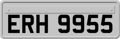 ERH9955