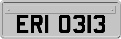 ERI0313