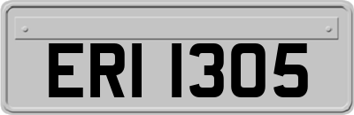 ERI1305