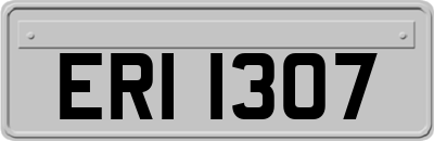 ERI1307