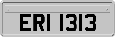 ERI1313