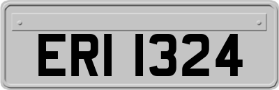 ERI1324