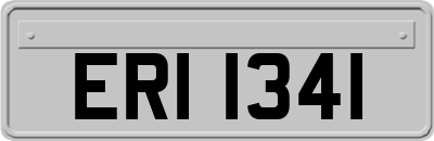 ERI1341