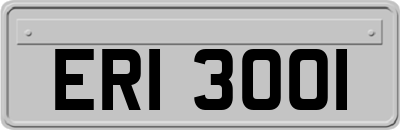 ERI3001