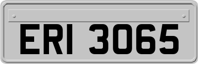 ERI3065