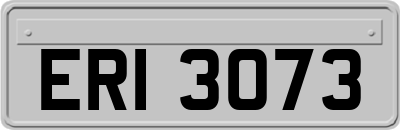ERI3073