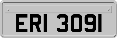 ERI3091